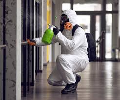 Why You Should Choose Our Mold Remediation Services in University Of Virginia, VA